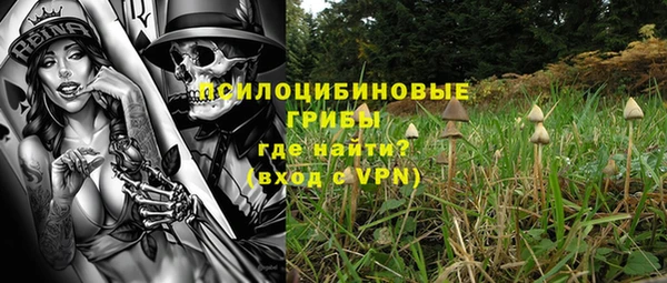 ГАЛЛЮЦИНОГЕННЫЕ ГРИБЫ Алексин