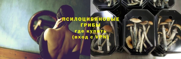 ГАЛЛЮЦИНОГЕННЫЕ ГРИБЫ Алексин