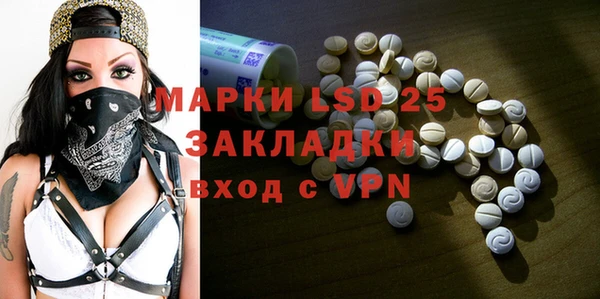 ГАЛЛЮЦИНОГЕННЫЕ ГРИБЫ Покров
